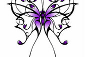 Butterfly Butterfly